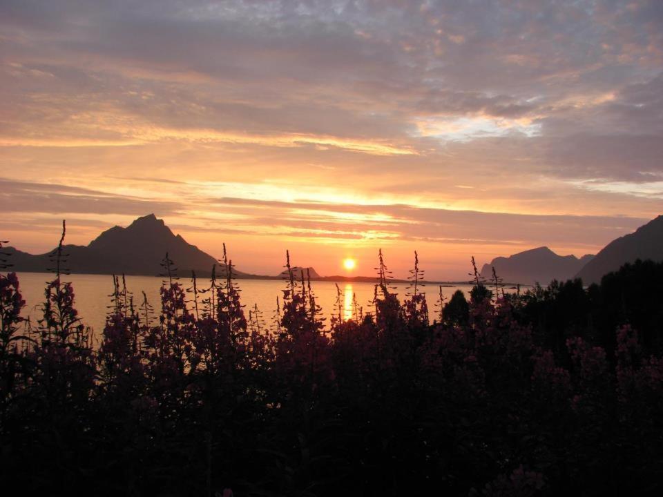 Skjellbogen Hyttegrend Sortland Εξωτερικό φωτογραφία